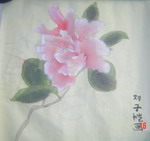 花花系列6