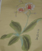 花花系列5